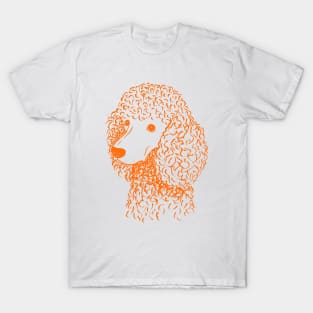 Poodle (Light Blue and Orange) T-Shirt